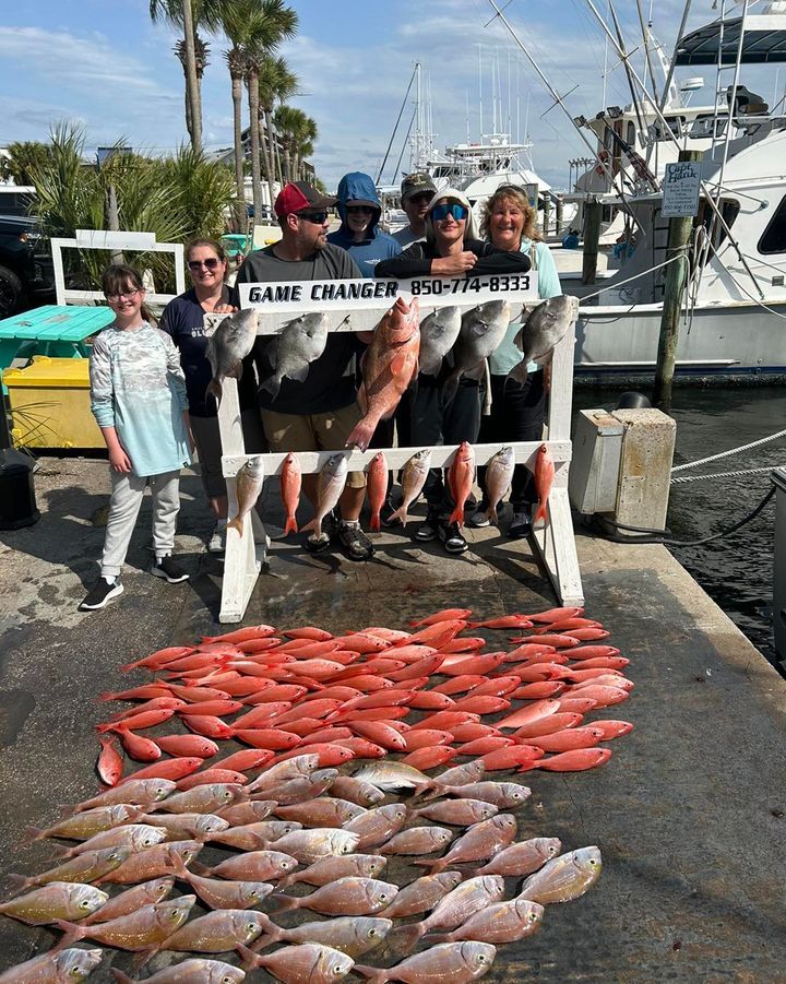 Florida Fish Species Gulf of Mexico  Fishing Charters Amazing Deep Sea  Fishing With Hook'em Up Charters